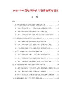 2025年中國(guó)砼回彈儀市場(chǎng)調(diào)查研究報(bào)告