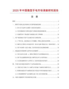 2025年中國微型手電市場調查研究報告