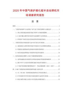2025年中國(guó)氣保護(hù)熔化極半自動(dòng)焊機(jī)市場(chǎng)調(diào)查研究報(bào)告