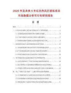 2025年及未來5年紅外熱風打底機項目市場數據分析可行性研究報告