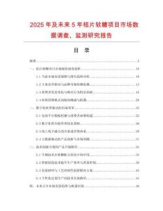 2025年及未來5年桔片軟糖項目市場數據調查、監測研究報告