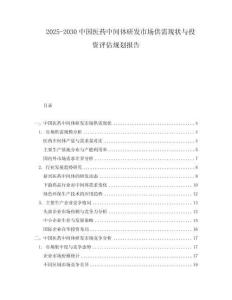 2025-2030中國醫(yī)藥中間體研發(fā)市場供需現(xiàn)狀與投資評估規(guī)劃報告
