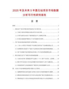 2025年及未來5年圓孔鉆項目市場數(shù)據(jù)分析可行性研究報告