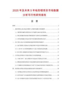 2025年及未來5年槍形鎖項目市場數(shù)據(jù)分析可行性研究報告