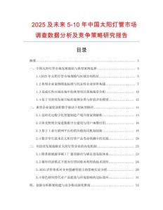 2025及未來5-10年中國太陽燈管市場調查數據分析及競爭策略研究報告