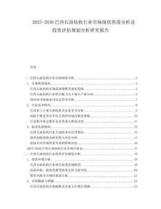 2025-2030巴西石油鉆機行業(yè)市場現(xiàn)狀供需分析及投資評估規(guī)劃分析研究報告