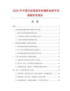 2025年中國凸起高級彩色橡膠地板市場調查研究報告