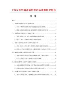 2025年中國圣誕彩帶市場調查研究報告