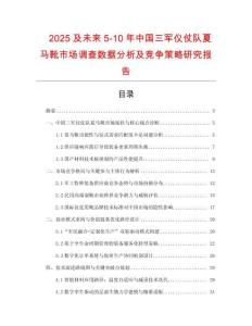 2025及未來(lái)5-10年中國(guó)三軍儀仗隊(duì)夏馬靴市場(chǎng)調(diào)查數(shù)據(jù)分析及競(jìng)爭(zhēng)策略研究報(bào)告
