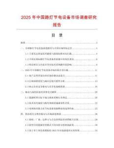 2025年中國路燈節(jié)電設(shè)備市場調(diào)查研究報告