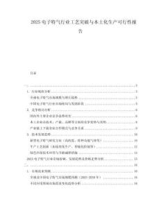 2025電子特氣行業(yè)工藝突破與本土化生產(chǎn)可行性報告