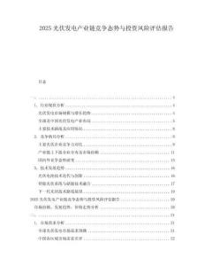 2025光伏發(fā)電產(chǎn)業(yè)鏈競爭態(tài)勢與投資風(fēng)險(xiǎn)評估報(bào)告