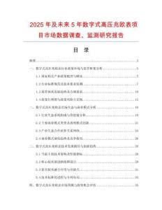 2025年及未来5年数字式高压兆欧表项目市场数据调查、监测研究报告