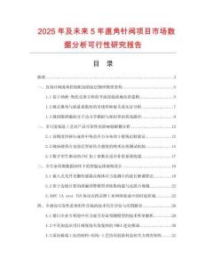 2025年及未來(lái)5年直角針閥項(xiàng)目市場(chǎng)數(shù)據(jù)分析可行性研究報(bào)告