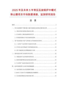 2025年及未来5年常压反烧锅炉中帽式除尘器项目市场数据调查、监测研究报告