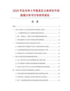 2025年及未来5年数显压力表项目市场数据分析可行性研究报告