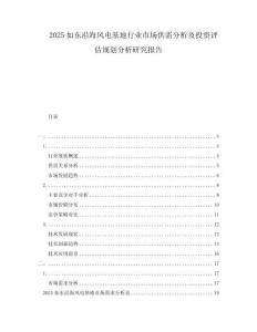 2025如東沿海風電基地行業市場供需分析及投資評估規劃分析研究報告
