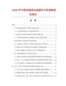 2025年中國(guó)電腦周邊接插件市場(chǎng)調(diào)查研究報(bào)告