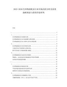 2025-2030巴西物流配送行業(yè)市場活躍分析及前景戰(zhàn)略規(guī)劃與投資價值研判