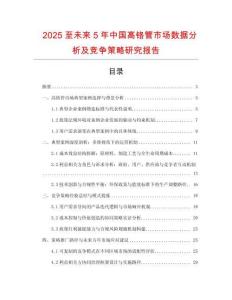 2025至未來(lái)5年中國(guó)高鉻管市場(chǎng)數(shù)據(jù)分析及競(jìng)爭(zhēng)策略研究報(bào)告