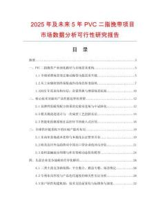 2025年及未来5年PVC二指挽带项目市场数据分析可行性研究报告