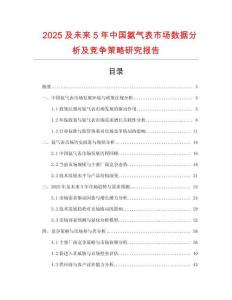 2025及未来5年中国氨气表市场数据分析及竞争策略研究报告