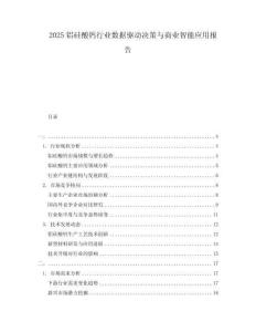 2025鋁硅酸鈣行業數據驅動決策與商業智能應用報告
