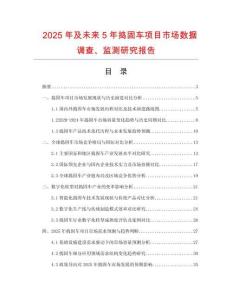 2025年及未來(lái)5年搗固車項(xiàng)目市場(chǎng)數(shù)據(jù)調(diào)查、監(jiān)測(cè)研究報(bào)告