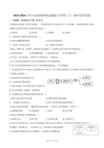 2025-2026學年山東省德州市武城縣八年級（上）期中化學試卷（含答案）
