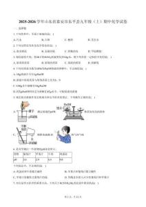 2025-2026學年山東省泰安市東平縣九年級（上）期中化學試卷（含答案）