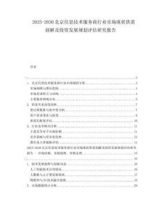 2025-2030北京信息技術(shù)服務(wù)商行業(yè)市場(chǎng)現(xiàn)狀供需剖解及投資發(fā)展規(guī)劃評(píng)估研究報(bào)告