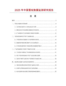 2025年中國雪杖數據監測研究報告