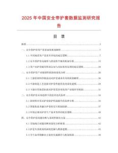 2025年中国安全带护套数据监测研究报告