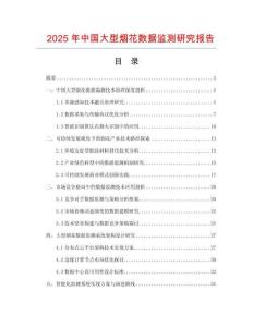 2025年中国大型烟花数据监测研究报告