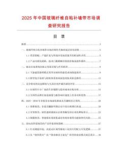 2025年中國(guó)玻璃纖維自粘補(bǔ)墻帶市場(chǎng)調(diào)查研究報(bào)告