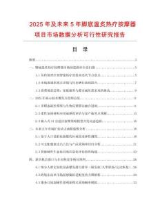 2025年及未來5年腳底溫炙熱療按摩器項目市場數(shù)據(jù)分析可行性研究報告