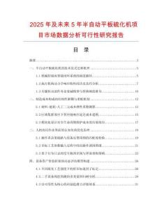 2025年及未來5年半自動(dòng)平板硫化機(jī)項(xiàng)目市場(chǎng)數(shù)據(jù)分析可行性研究報(bào)告