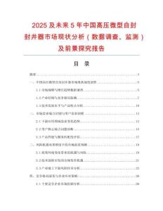 2025及未來5年中國高壓微型自封封井器市場現狀分析（數據調查、監測）及前景探究報告