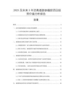 2025及未來5年瀝青道路嵌縫膠項目投資價值分析報告