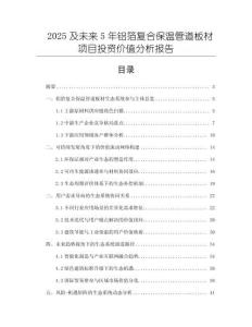 2025及未來5年鋁箔復合保溫管道板材項目投資價值分析報告