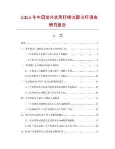 2025年中國紫外線汞燈鎮(zhèn)流器市場調查研究報告