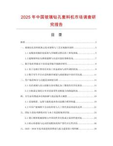 2025年中國玻璃鉆孔套料機市場調查研究報告