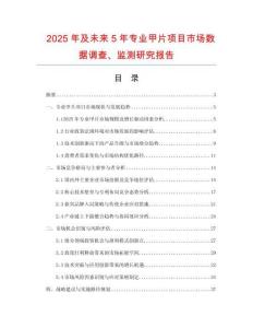 2025年及未来5年专业甲片项目市场数据调查、监测研究报告