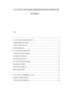 电子支付行业市场供需现状投资风险评估规划分析研究报告