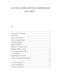 2025軟件定義網(wǎng)絡(luò)技術(shù)研究進展與網(wǎng)絡(luò)智能化發(fā)展前景分析報告