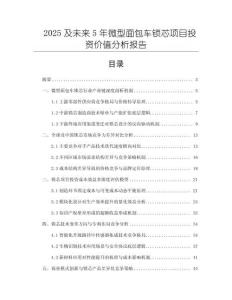 2025及未來5年微型面包車鎖芯項目投資價值分析報告