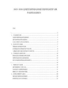 2025-2030边境贸易跨境电商通关便利化政策与操作流程改进报告