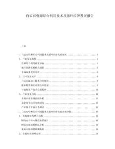 白云石資源綜合利用技術(shù)及循環(huán)經(jīng)濟發(fā)展報告