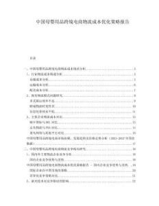 中國母嬰用品跨境電商物流成本優(yōu)化策略報告