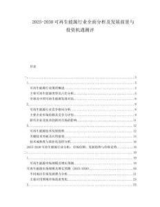 2025-2030可再生能源行業(yè)全面分析及發(fā)展前景與投資機遇測評
